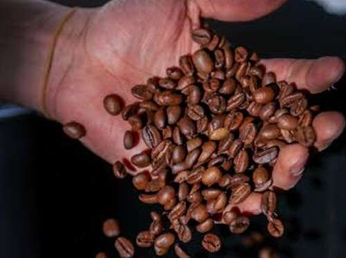 Commitment to Quality and Traceability